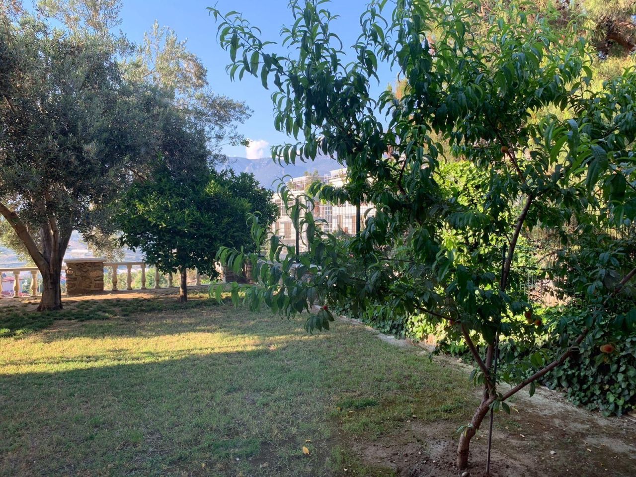 Вилла в Алании, Турция, 300 м² - фото 13