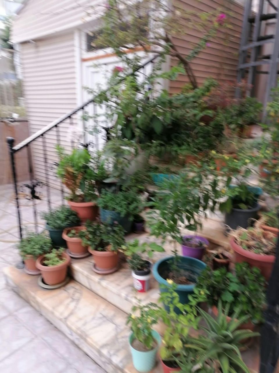 Квартира в Алании, Турция, 50 м² - фото 14