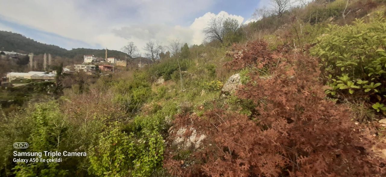 Земля в Алании, Турция, 6 300 м² - фото 15