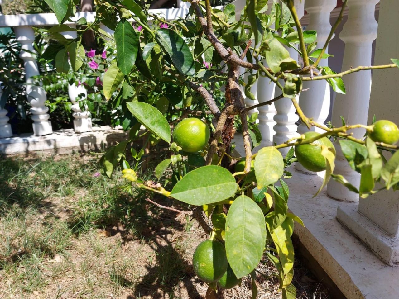 Вилла в Алании, Турция, 190 м² - фото 16