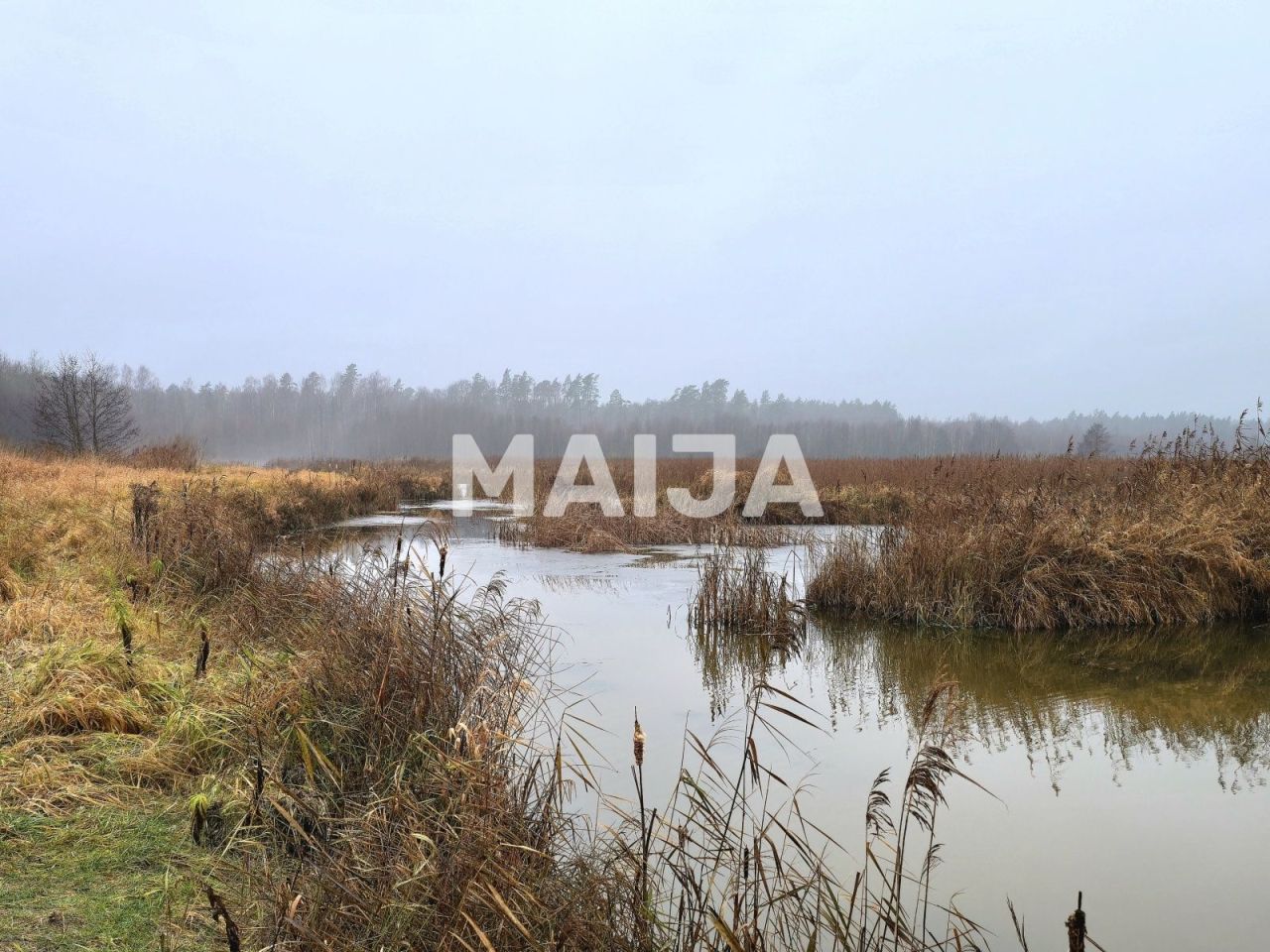 Земля Stelpe, Латвия, 53 230 000 м² - фото 1