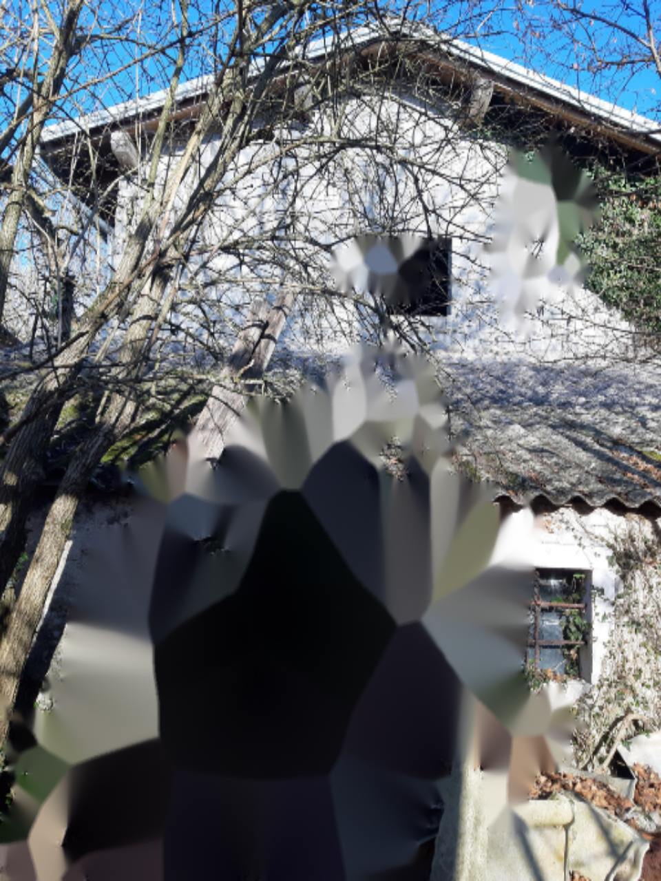 Дом в Ново-Место, Словения, 110 м² - фото 4