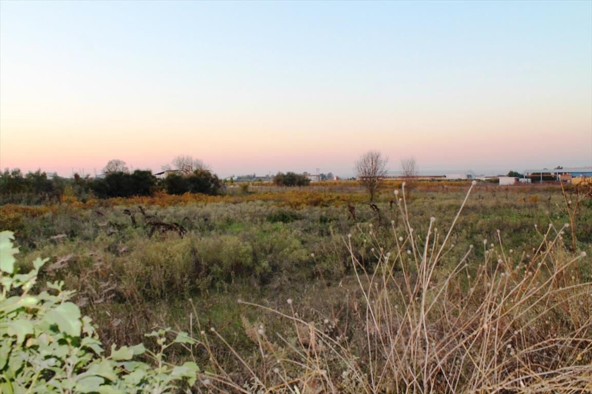 Земля в Салониках, Греция, 6 600 м² - фото 5