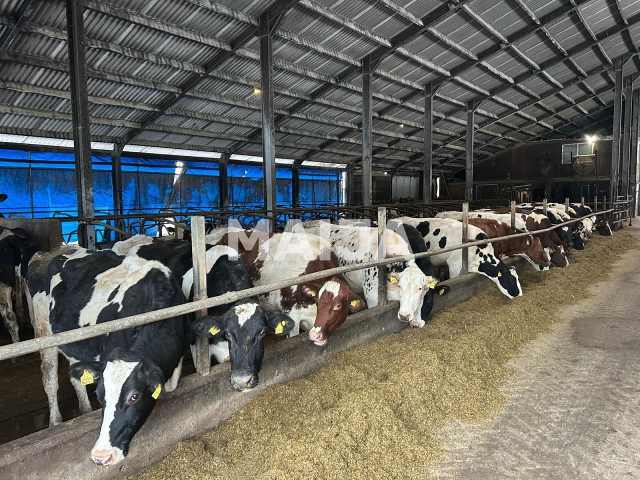 Земля в Сигулде, Латвия, 3 650 000 м² - фото 3