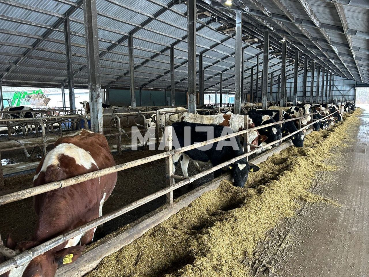 Земля в Сигулде, Латвия, 3 650 000 м² - фото 4