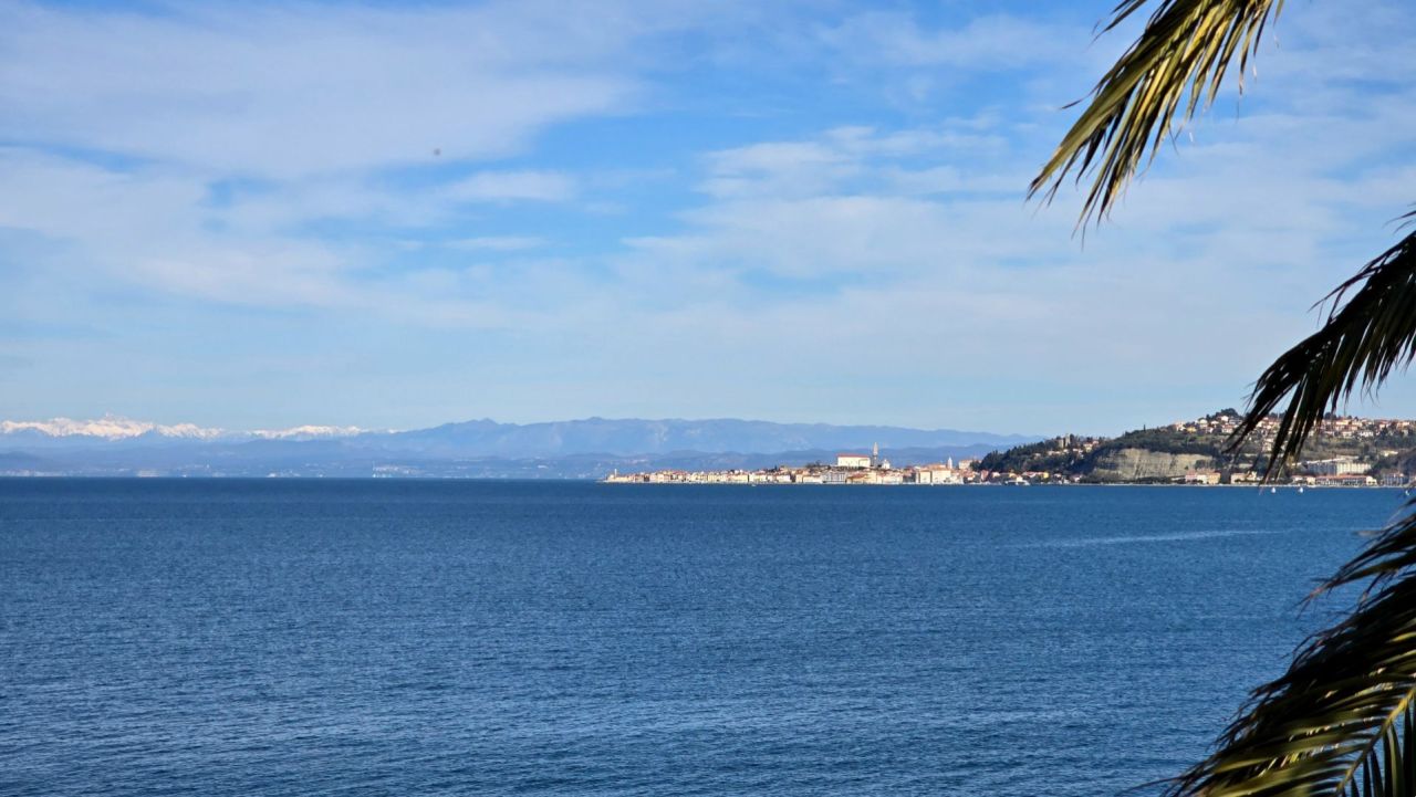 Вилла Crveni Vrh, Хорватия, 262 м² - фото 4