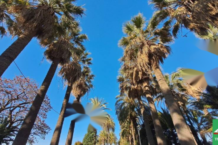 Квартира в Каннах, Франция, 170 м² - фото 1