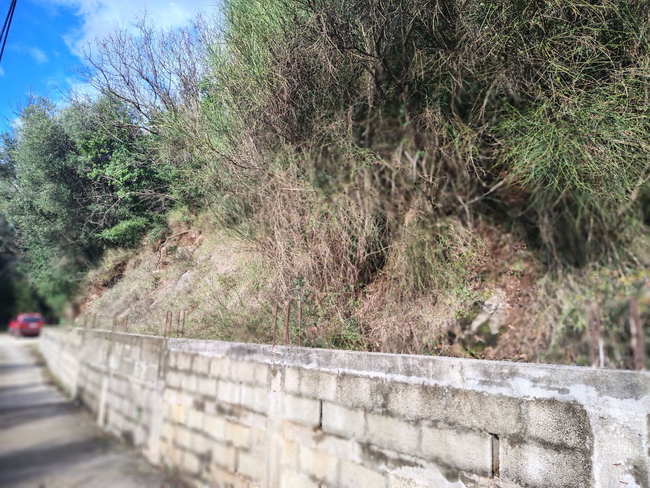 Земля в Будве, Черногория, 3 179 м² - фото 2