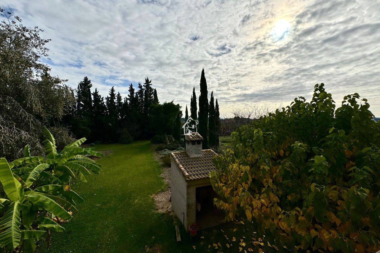 Ферма в Дайя-Нуэве, Испания, 350 м² - фото 3