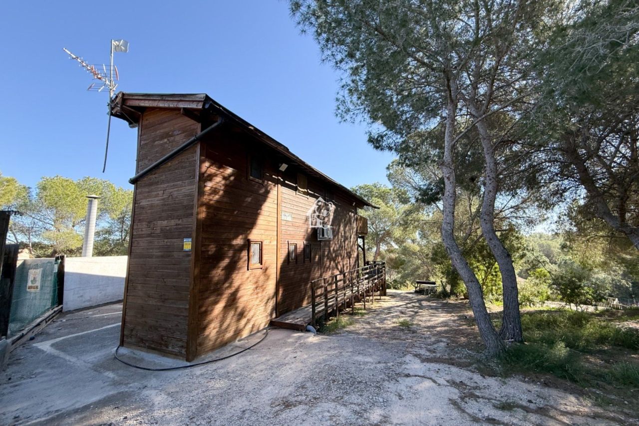 Дом в Пилар-де-ла-Орадада, Испания, 200 м² - фото 3