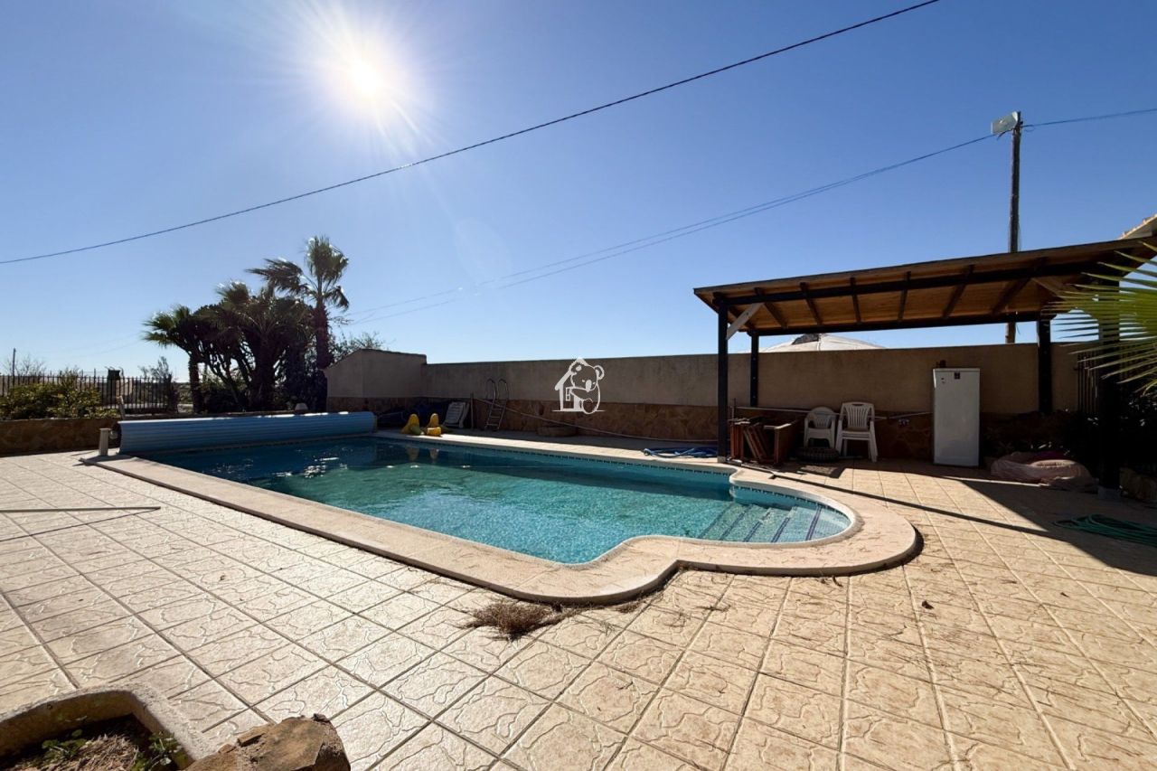 Дом в Пилар-де-ла-Орадада, Испания, 200 м² - фото 3