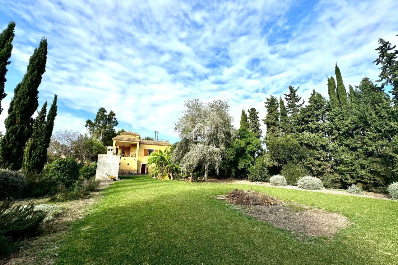 Ферма в Дайя-Нуэве, Испания, 350 м² - фото 5