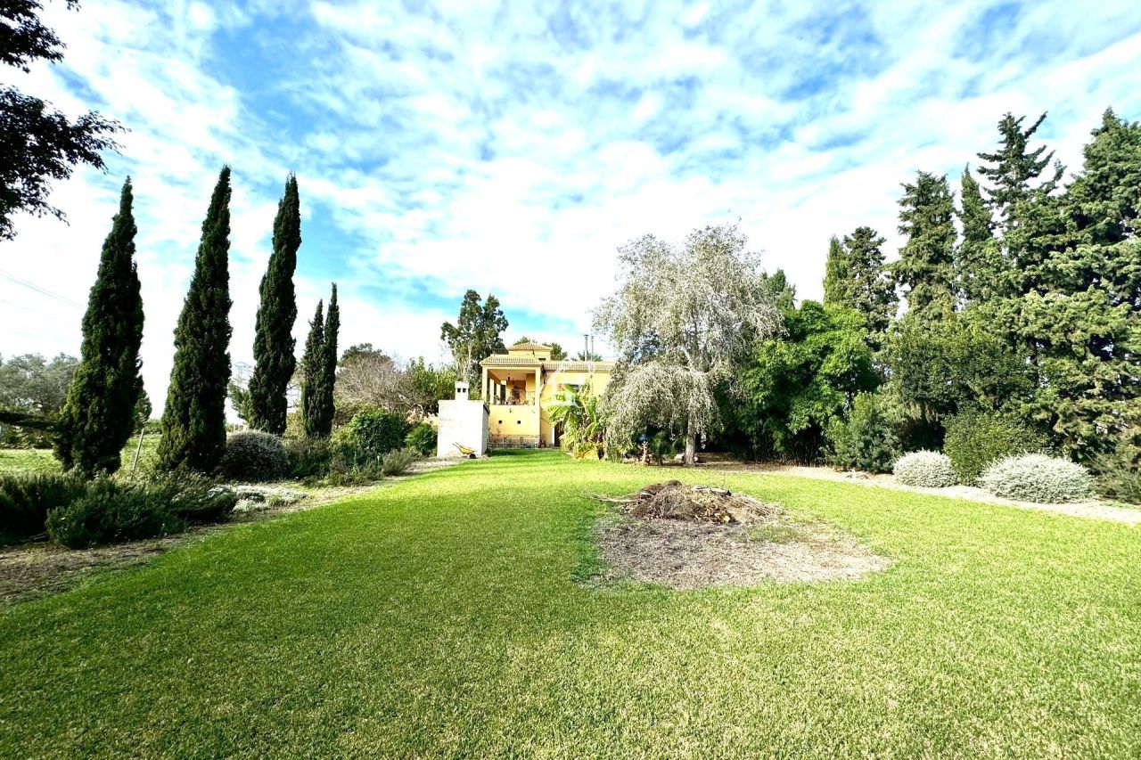 Ферма в Дайя-Нуэве, Испания, 350 м² - фото 6