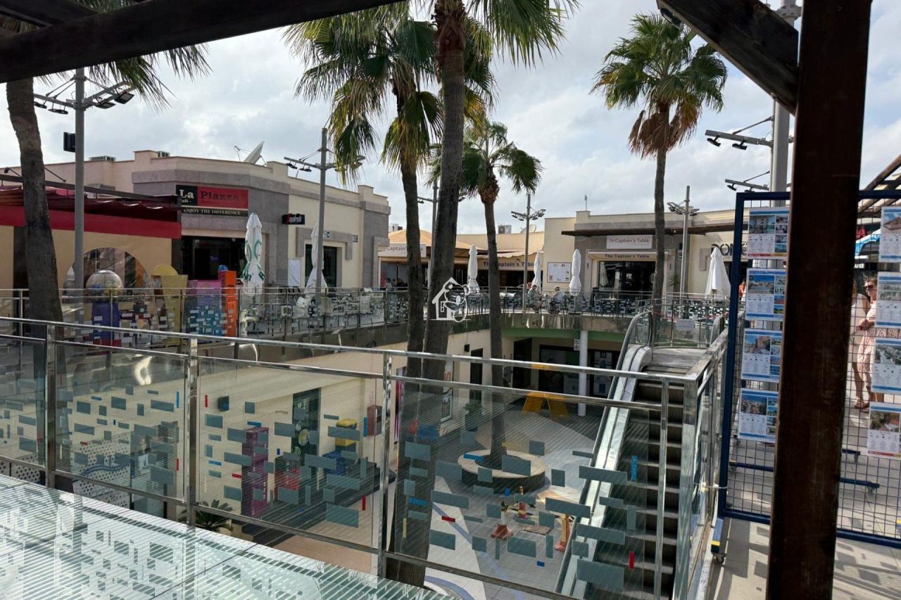 Кафе, ресторан в Пунта Приме, Испания, 135 м² - фото 6