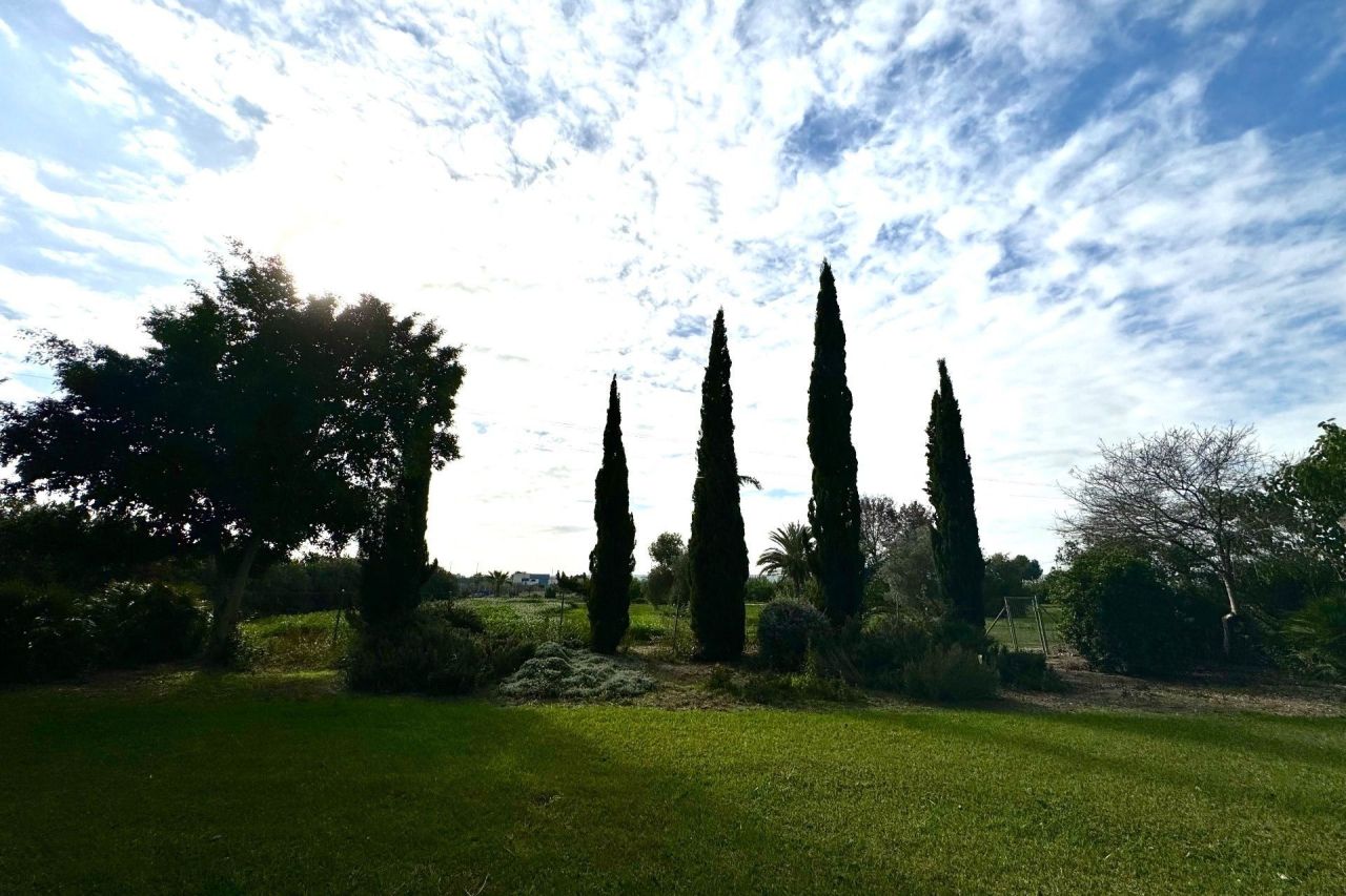 Ферма в Дайя-Нуэве, Испания, 350 м² - фото 8