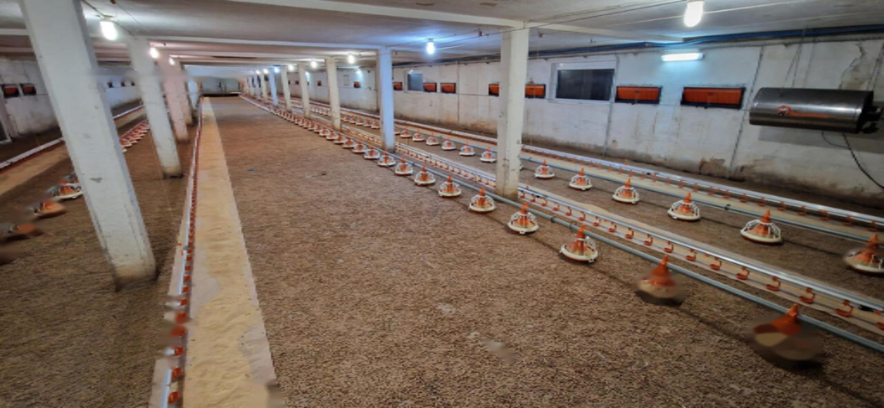 Ферма в Словенска-Бистрице, Словения, 81 802 м² - фото 1