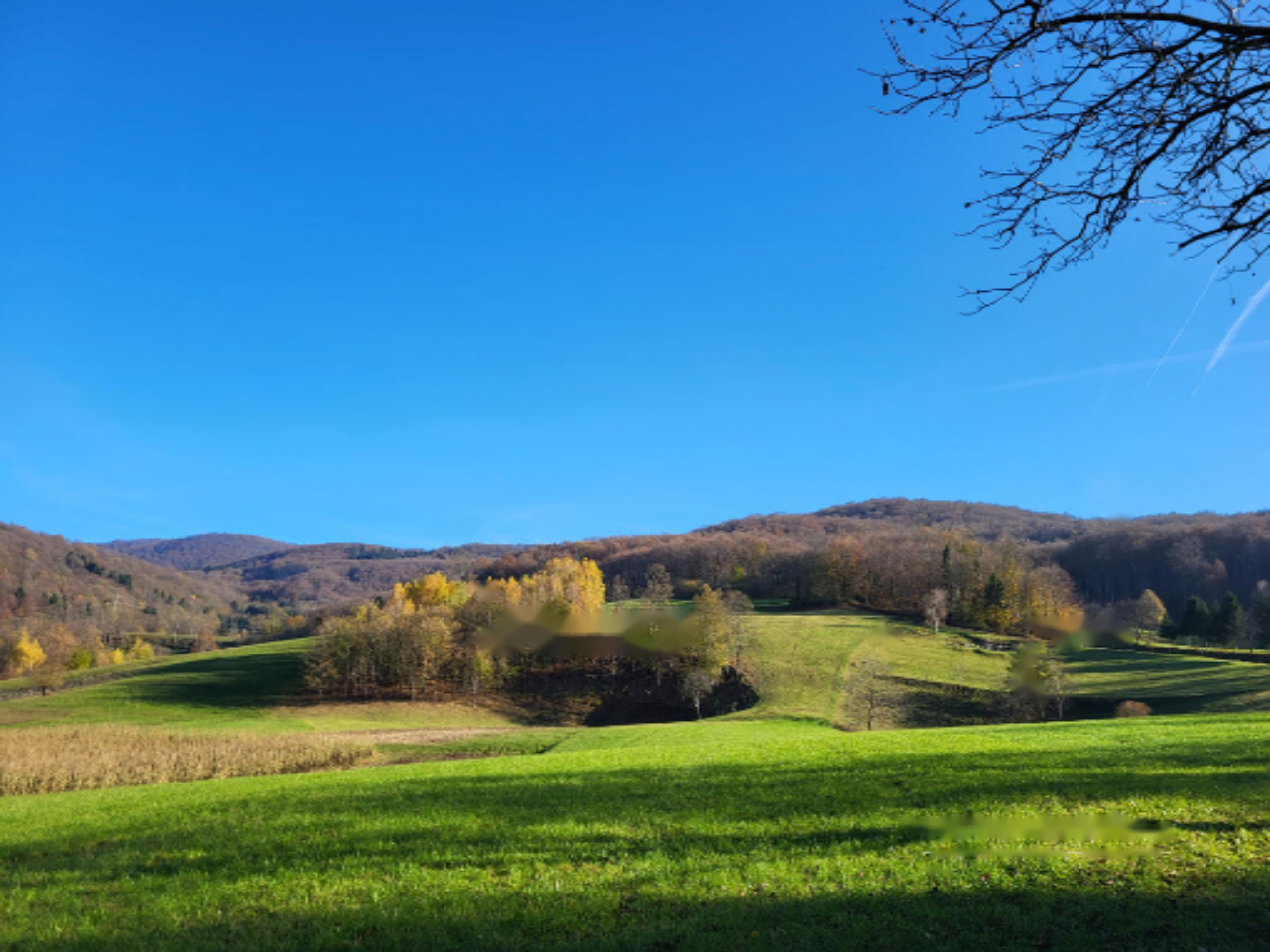 Ферма в Ново-Место, Словения, 52 000 м² - фото 1