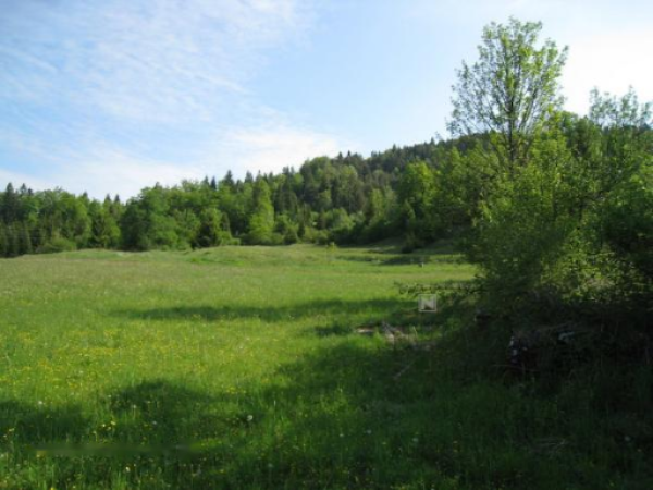 Ферма в Церкнице, Словения, 214 м² - фото 1