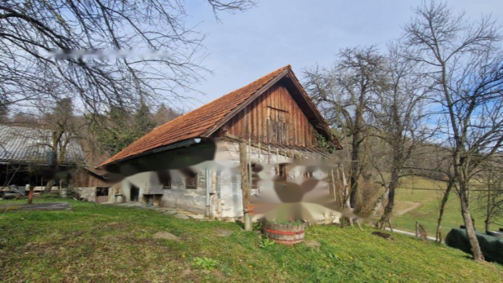 Ферма в Целе, Словения, 45 000 м² - фото 1