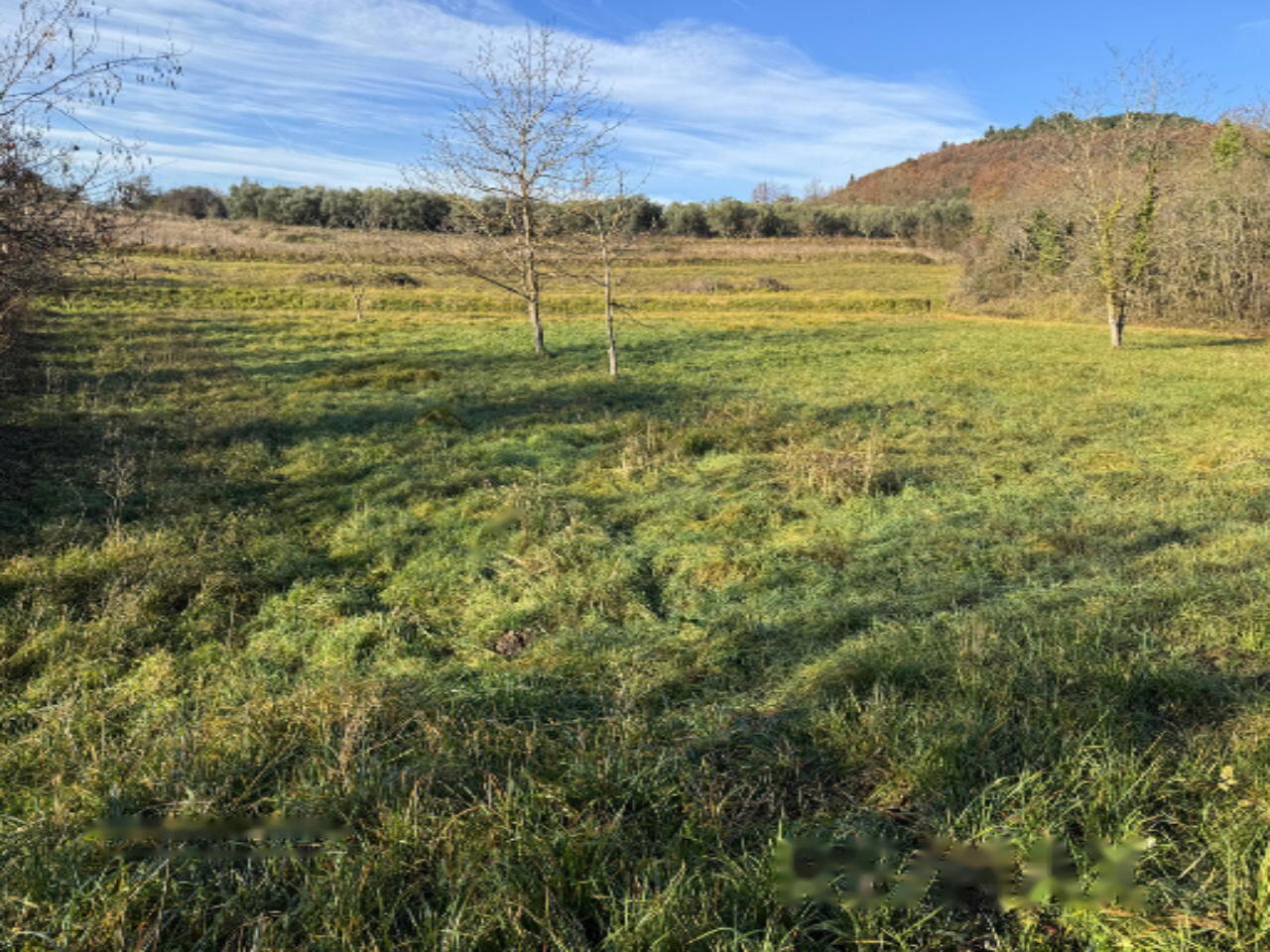 Ферма в Пиране, Словения, 2 120 м² - фото 2