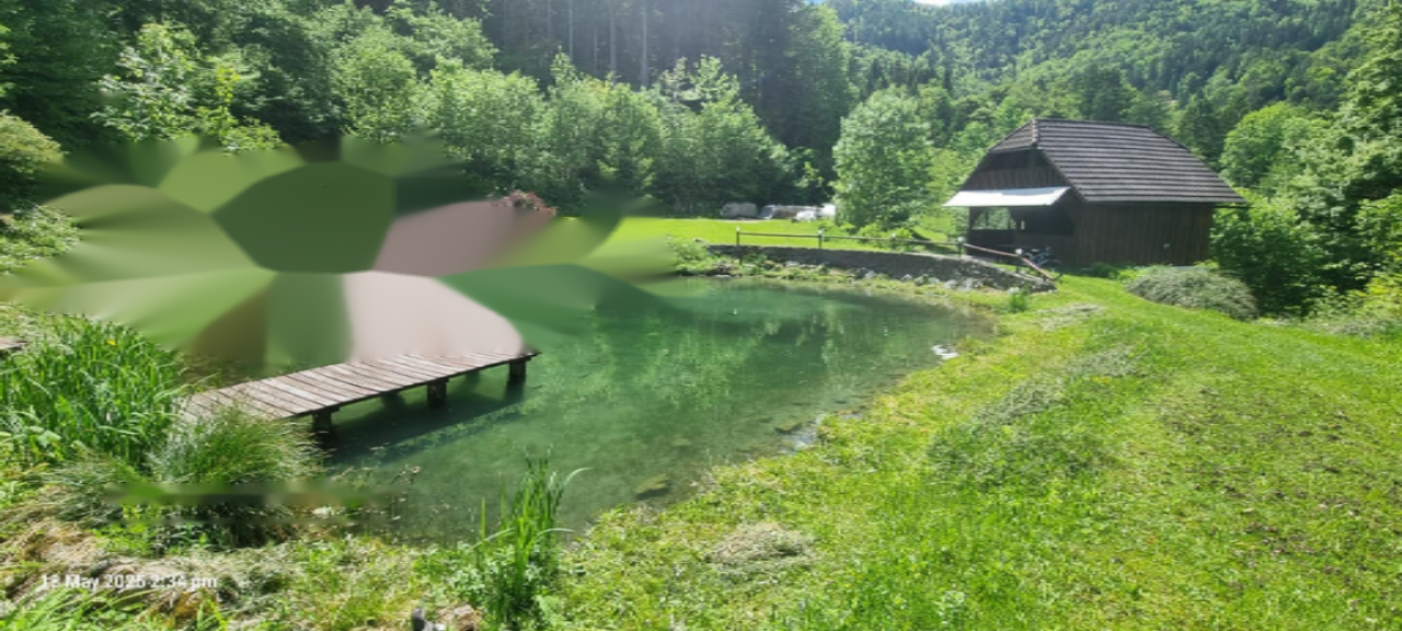 Ферма в Равне-на-Корошкем, Словения, 105 872 м² - фото 2