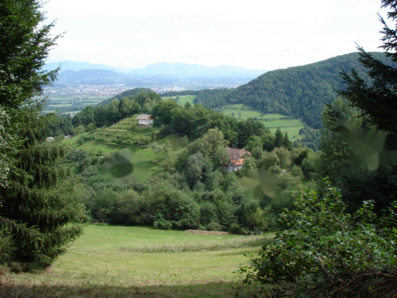 Ферма в Преболде, Словения, 81 000 м² - фото 2