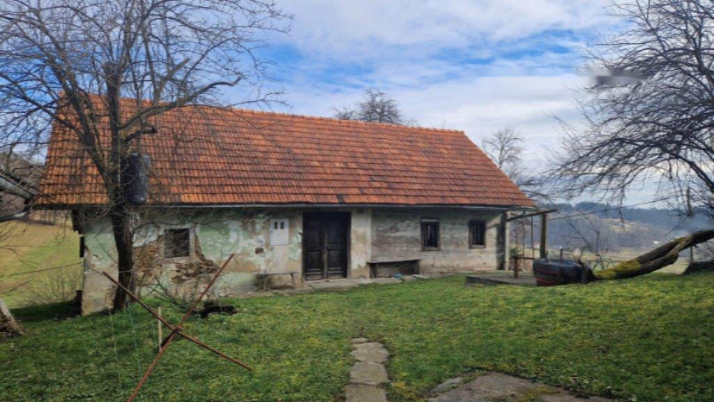 Ферма в Целе, Словения, 45 000 м² - фото 2