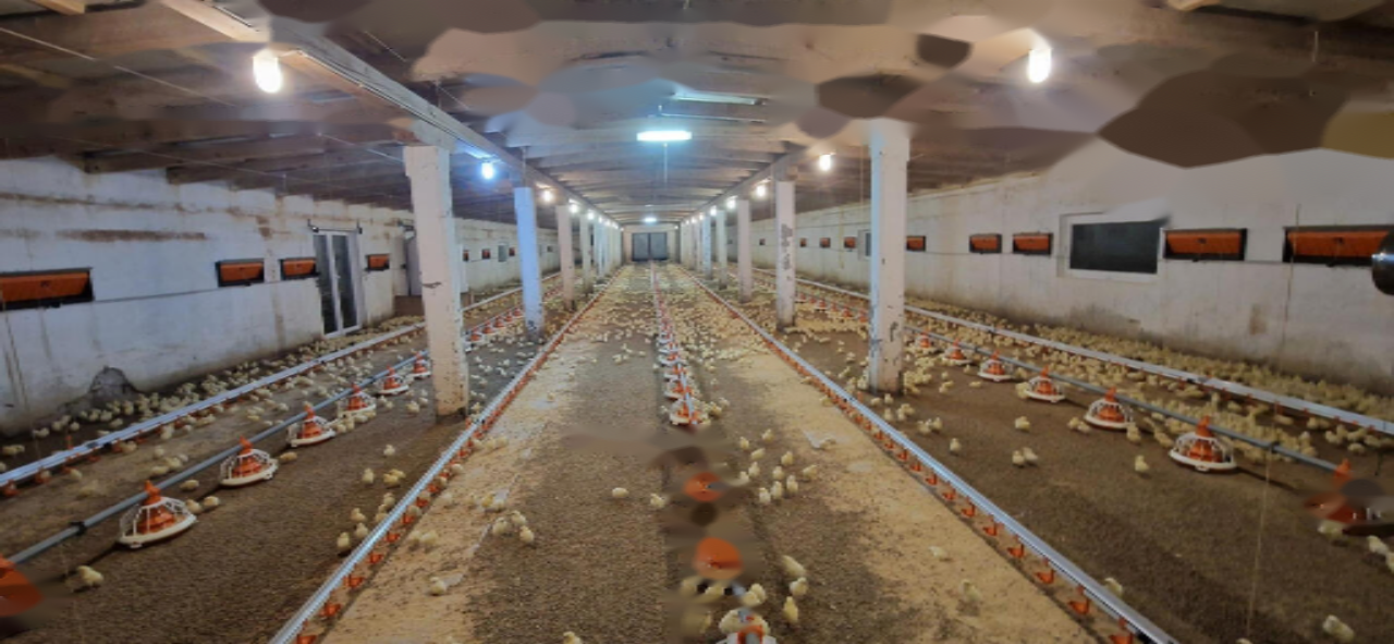 Ферма в Словенска-Бистрице, Словения, 19 132 м² - фото 2