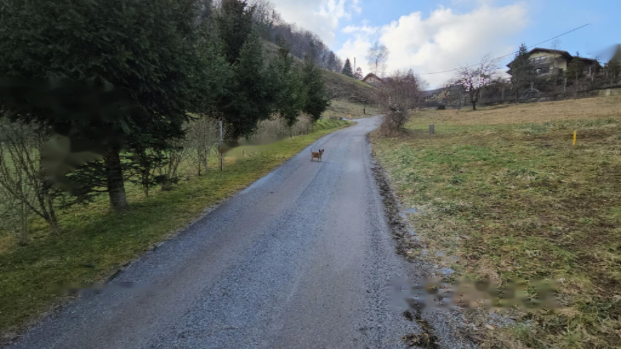 Ферма в Лашко, Словения, 27 245 м² - фото 2