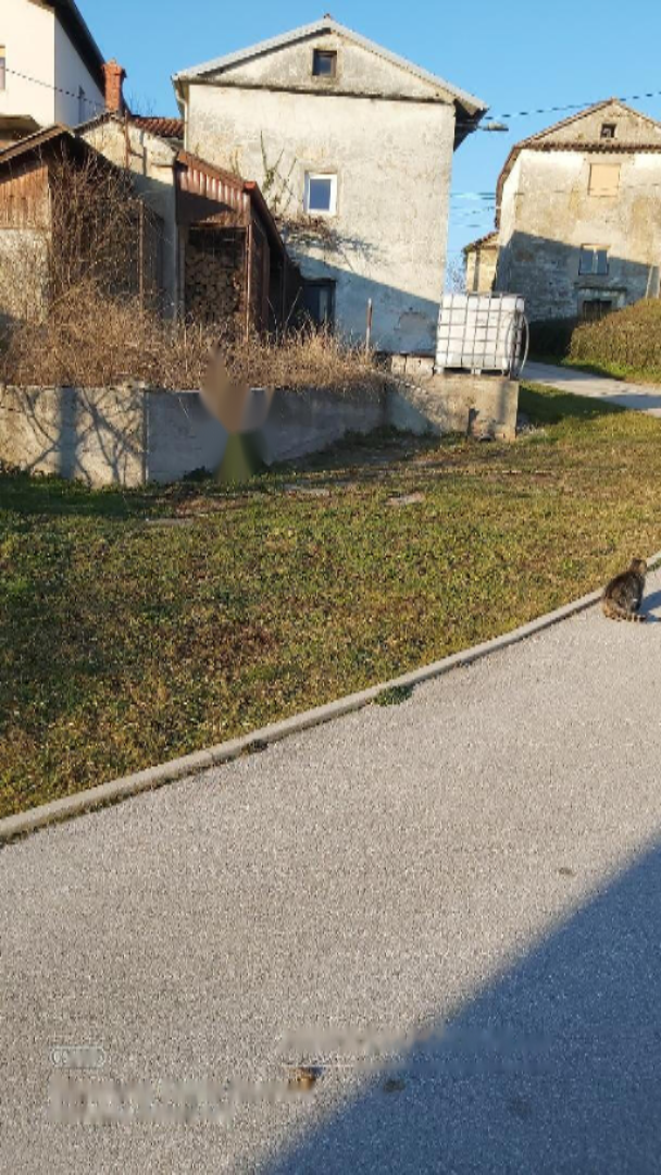 Дом в Илирске-Бистрице, Словения, 230 м² - фото 3