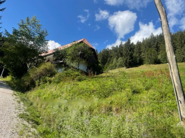 Дом в Словенске-Конице, Словения, 200 м² - фото 3