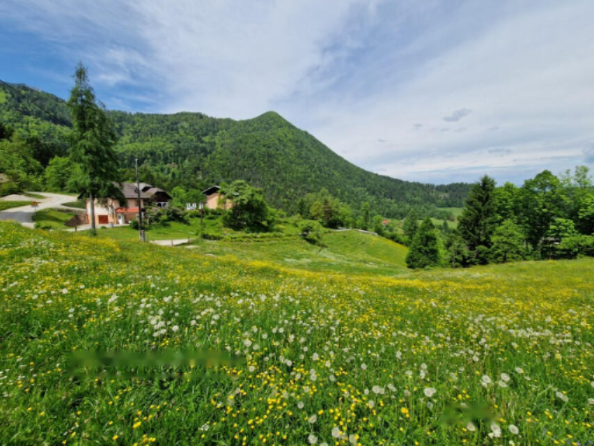 Ферма в Равне-на-Корошкем, Словения, 105 872 м² - фото 3