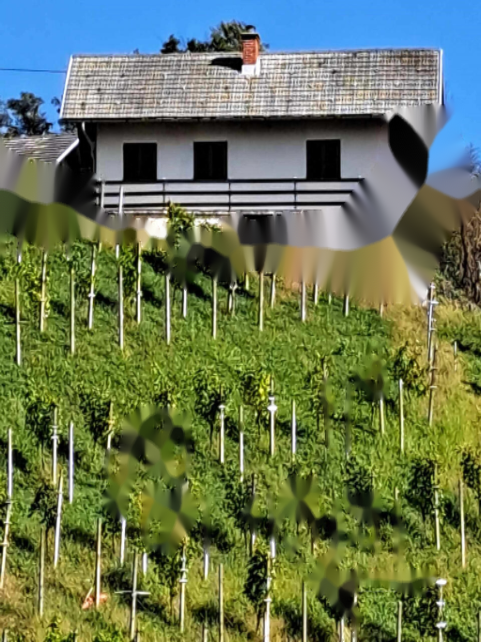 Дом в Птуе, Словения, 50 м² - фото 3