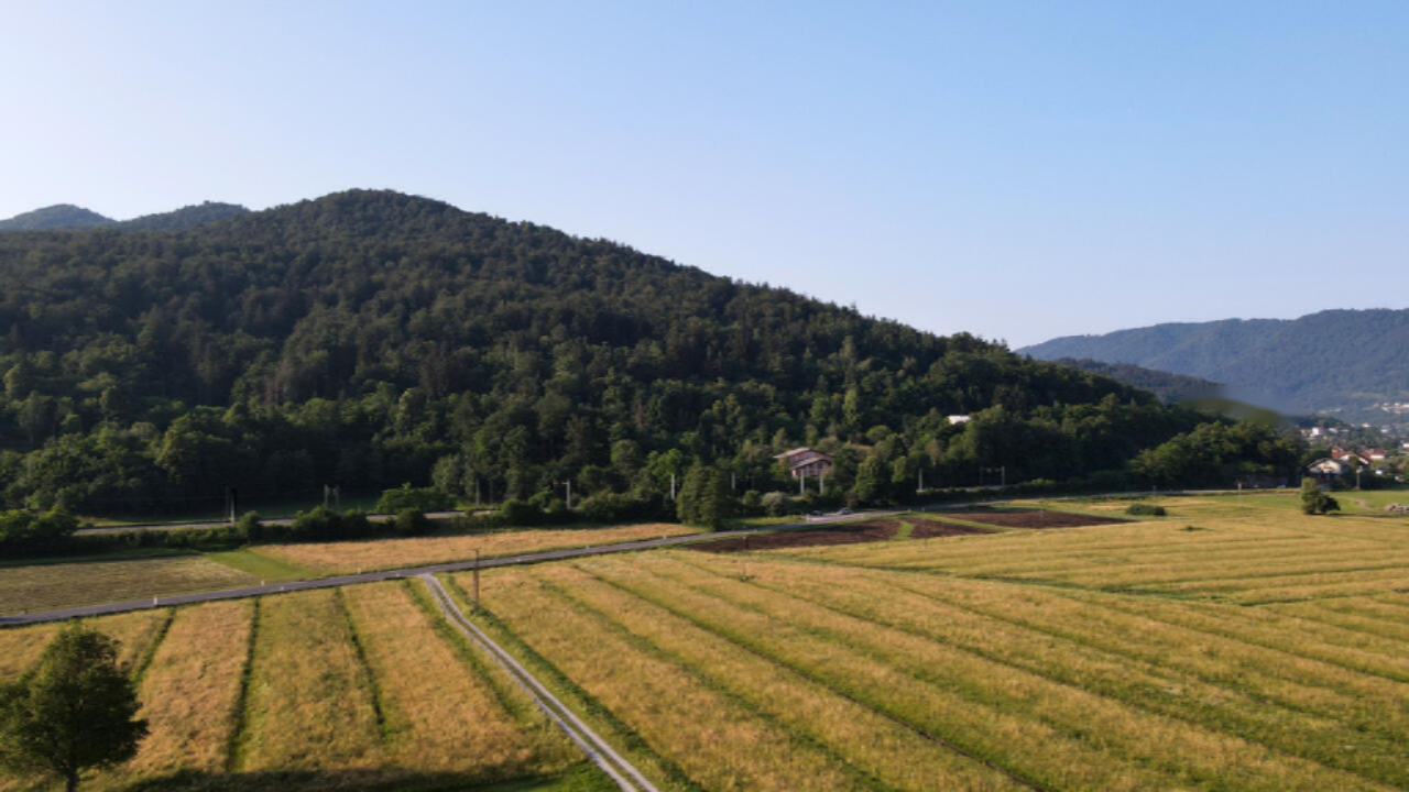 Ферма в Рожнике, Словения, 53 820 м² - фото 3