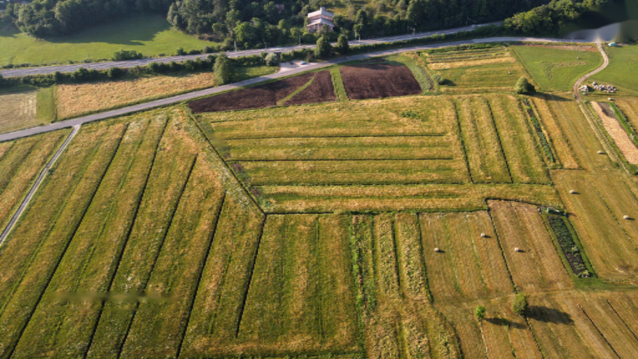 Ферма в Рожнике, Словения, 53 820 м² - фото 4