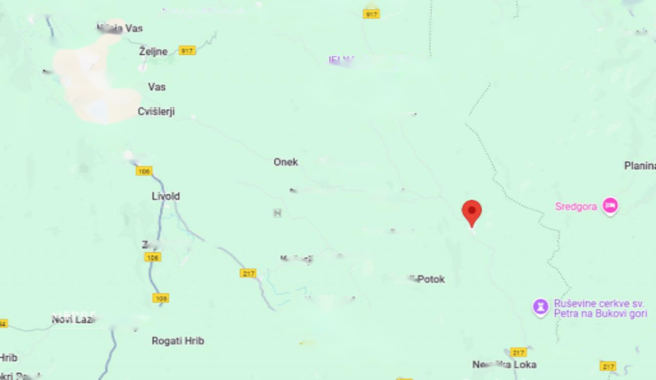 Дом в Кочевье, Словения, 488 м² - фото 4