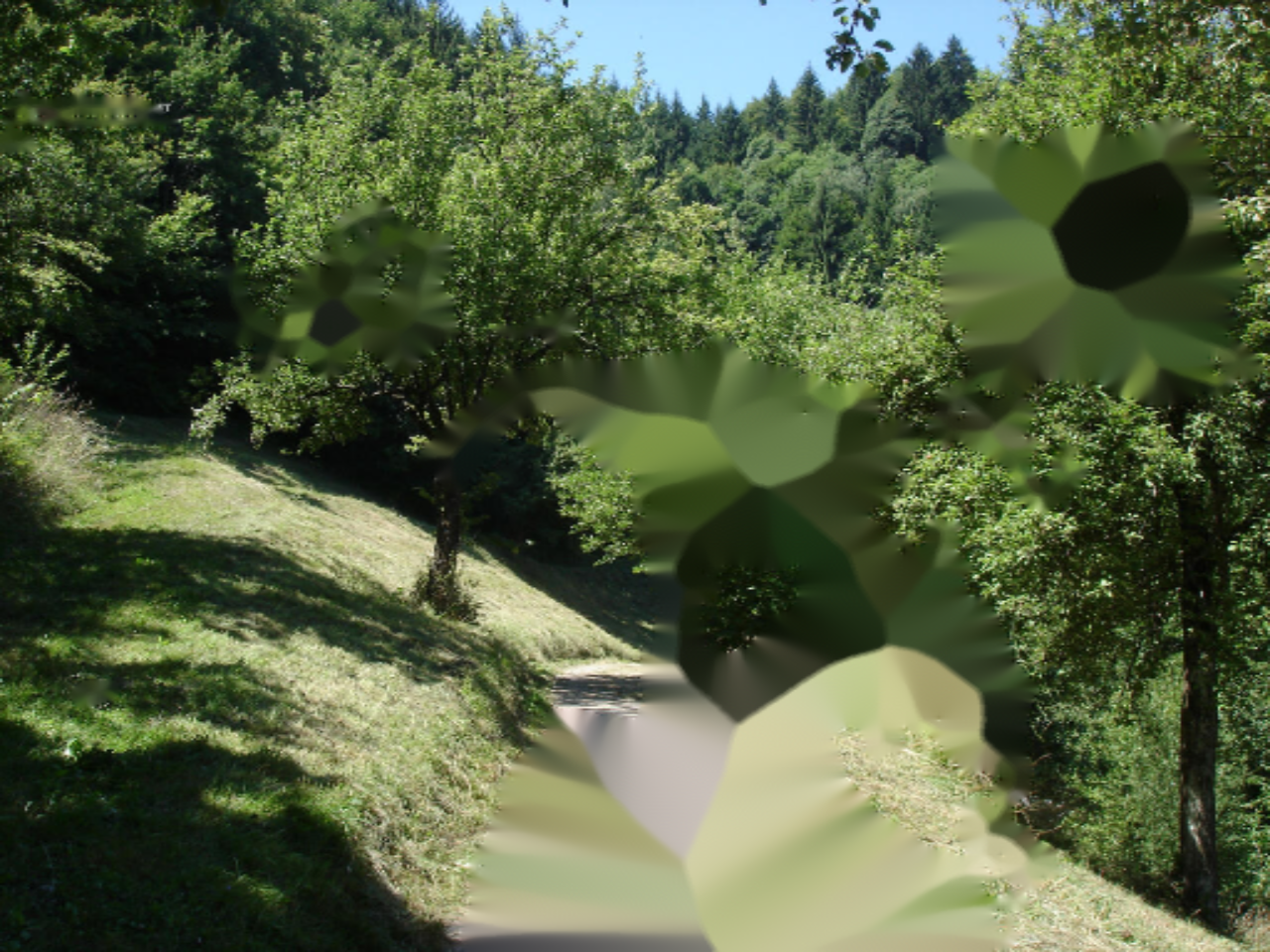 Ферма в Преболде, Словения, 81 000 м² - фото 5