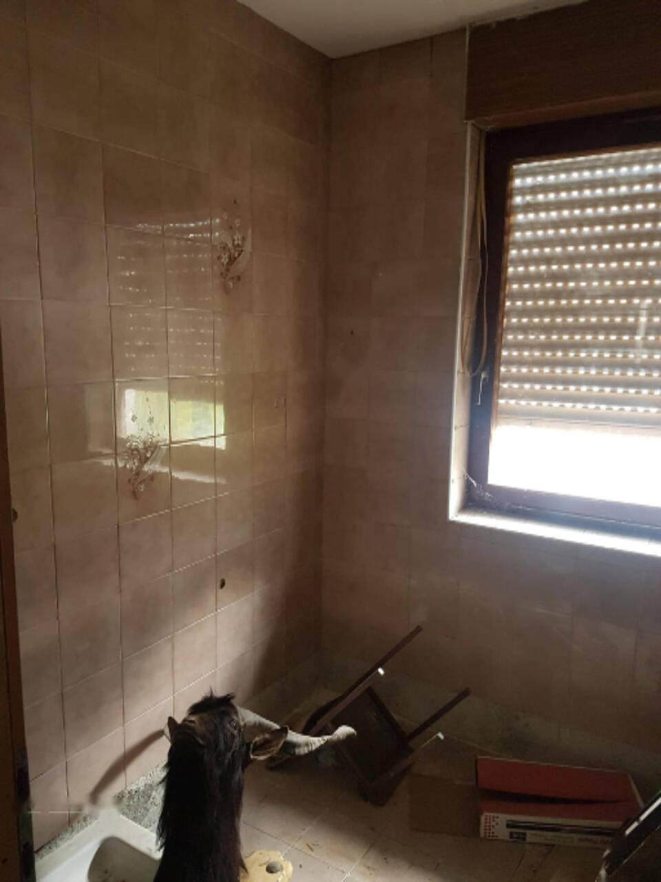 Дом в Нова-Горице, Словения, 160 м² - фото 5