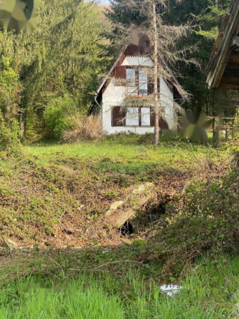 Дом в Птуе, Словения, 52 м² - фото 5