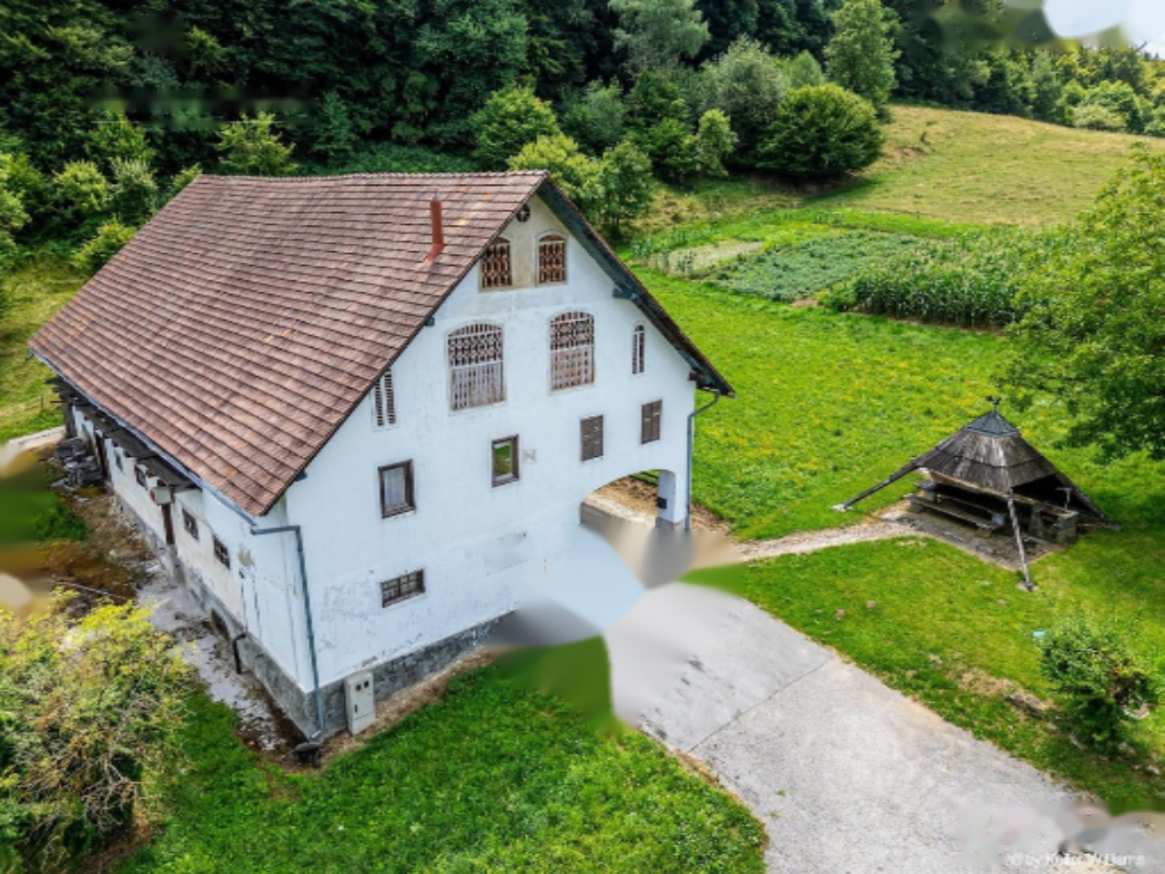 Ферма в Шентюре, Словения, 600 м² - фото 5