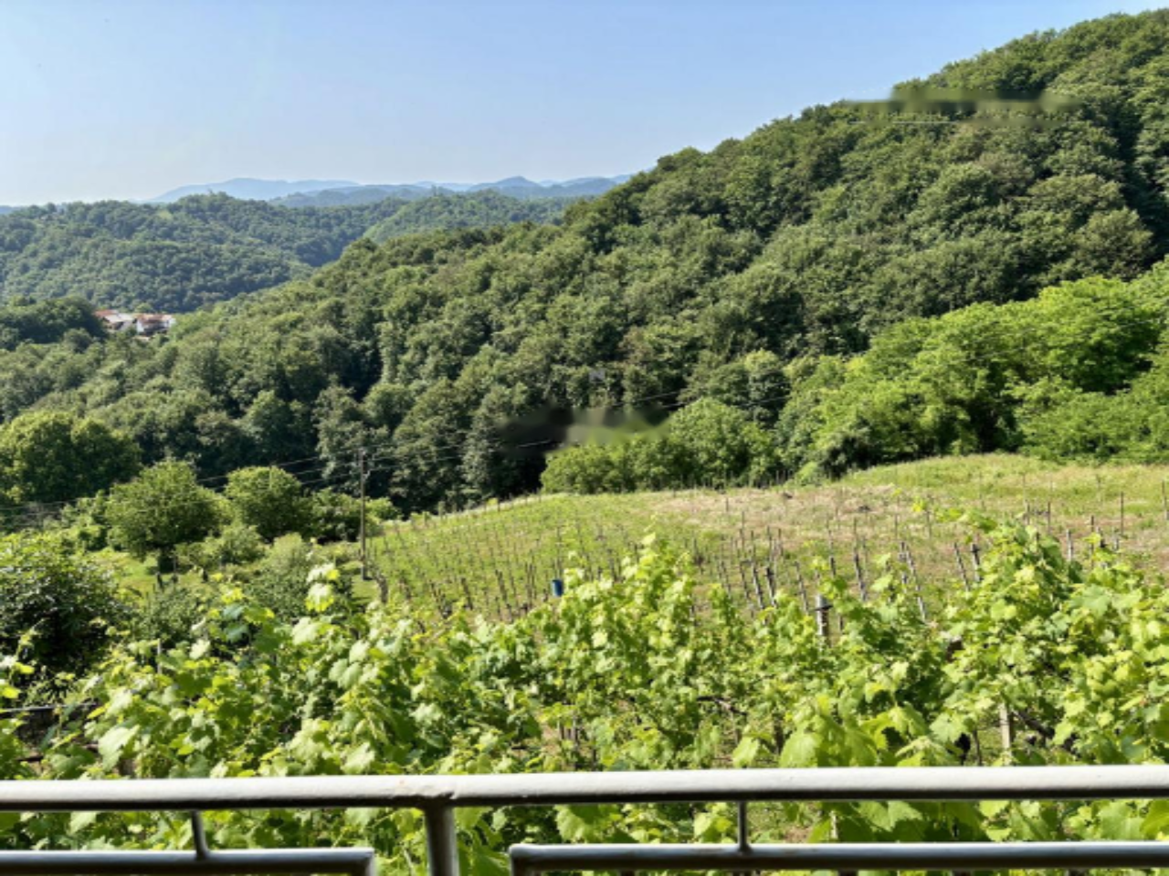 Дом в Птуе, Словения, 82 м² - фото 6