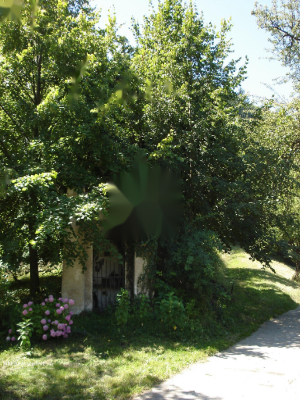 Ферма в Преболде, Словения, 81 000 м² - фото 6