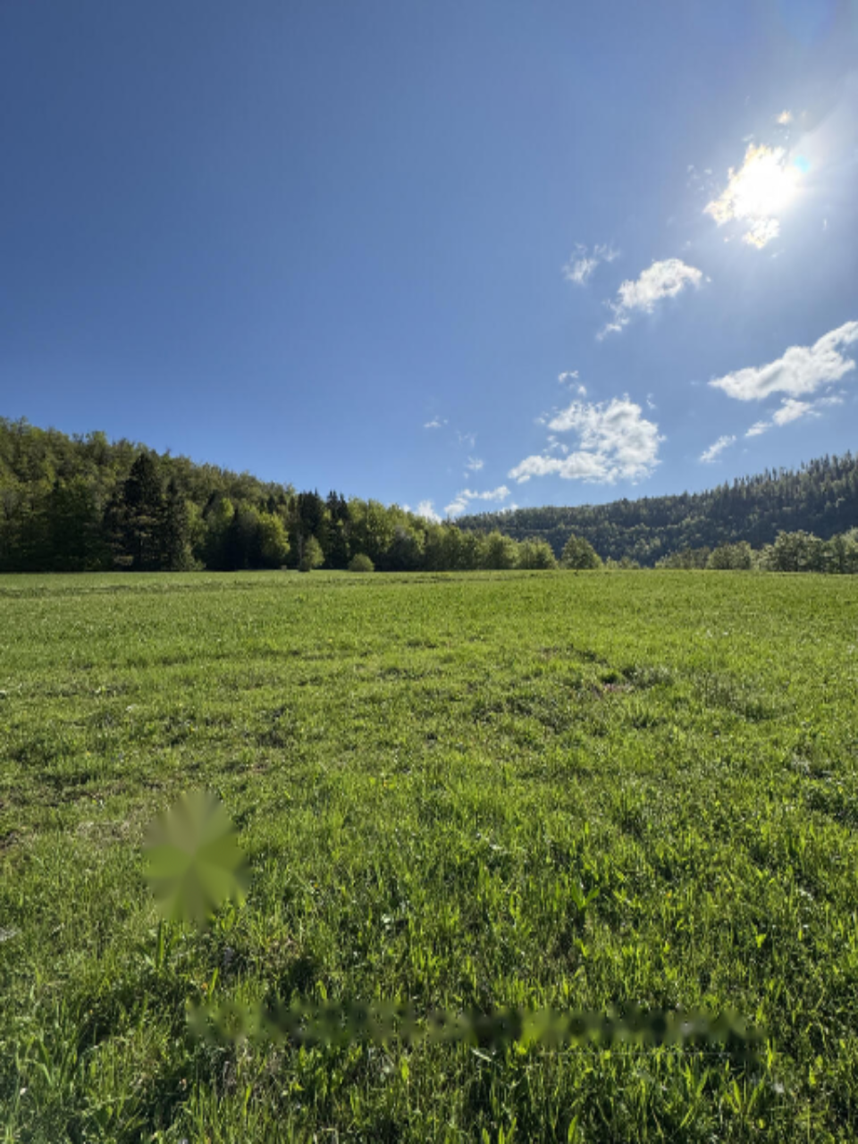 Ферма в Радовлице, Словения, 123 186 м² - фото 6