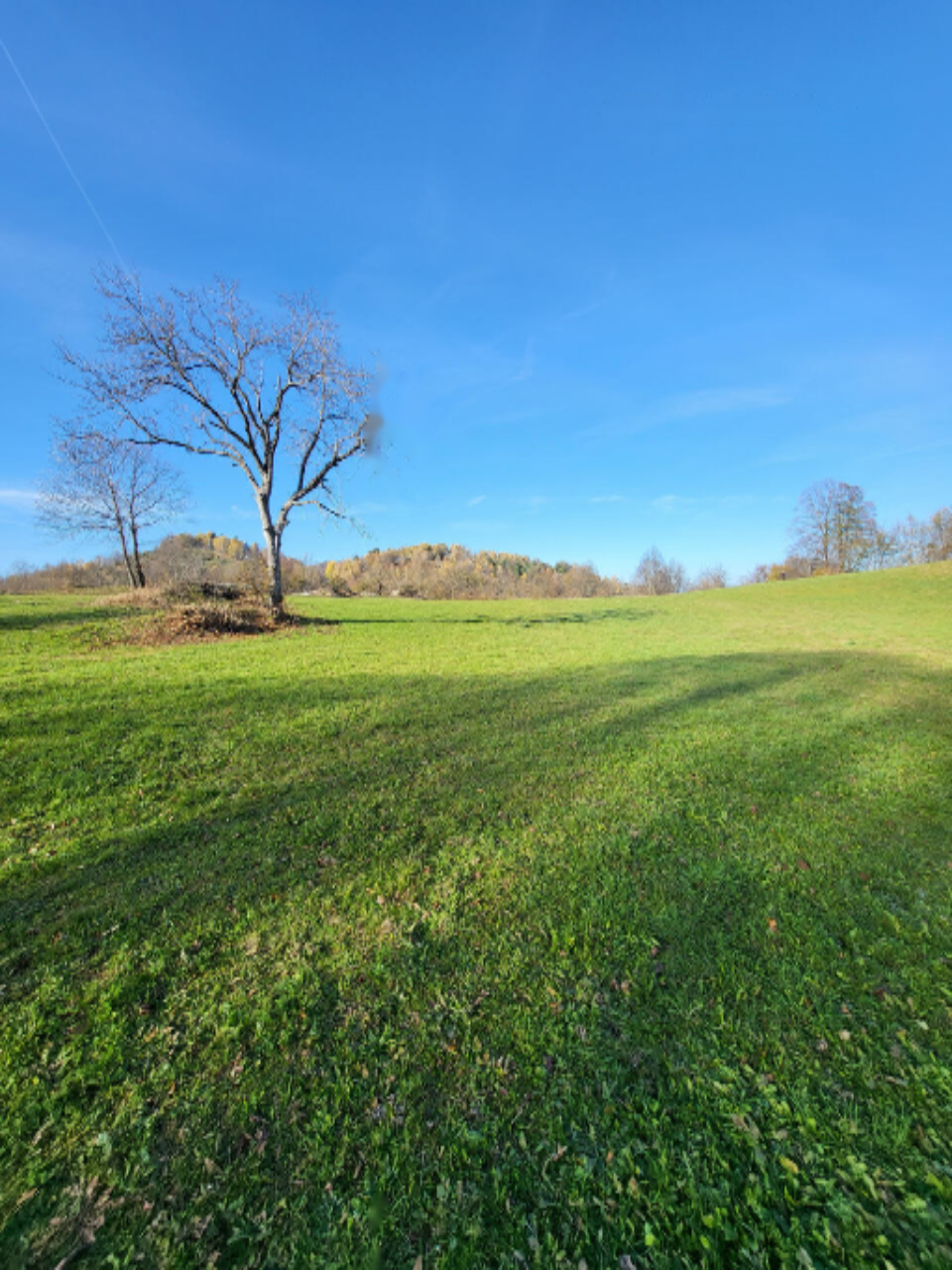 Ферма в Ново-Место, Словения, 52 000 м² - фото 6