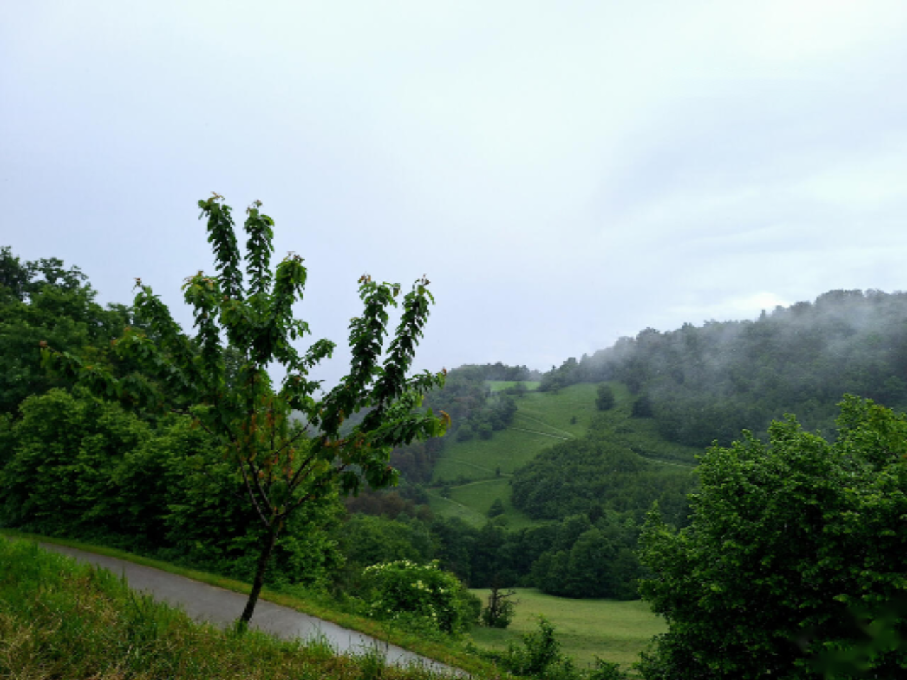 Ферма в Лашко, Словения, 219 841 м² - фото 6