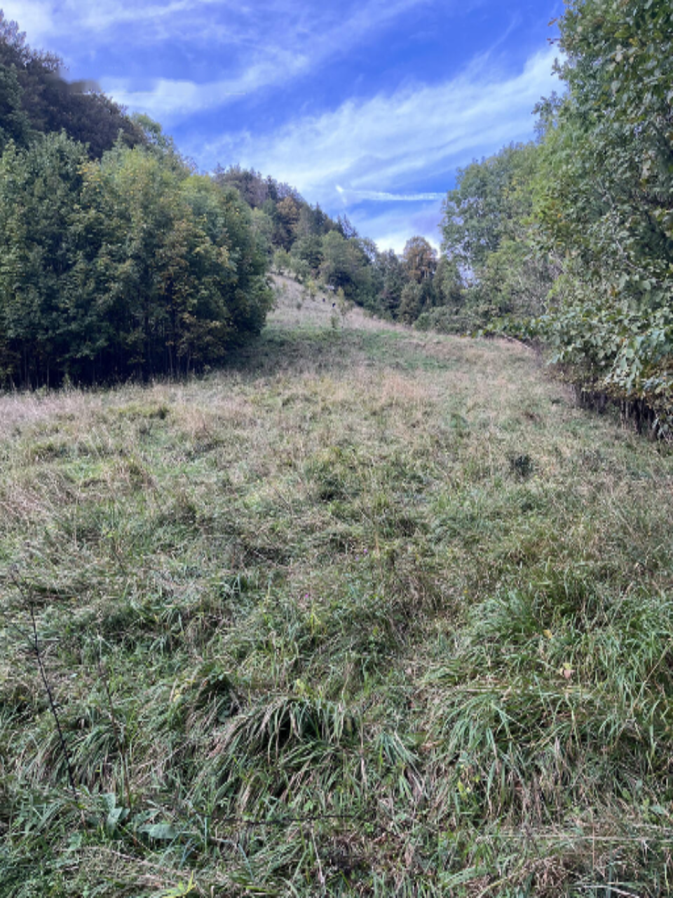 Дом в Трбовле, Словения, 132 м² - фото 6