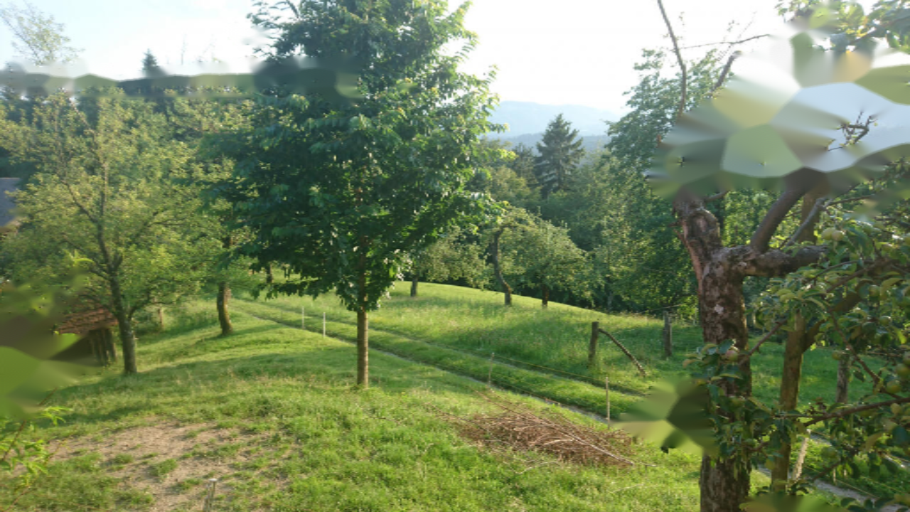 Ферма в Равне-на-Корошкем, Словения, 40 000 м² - фото 5