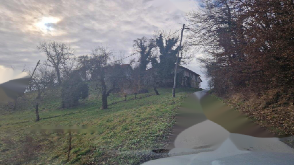 Ферма в Целе, Словения, 45 000 м² - фото 6