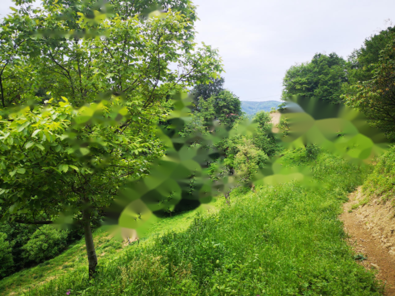 Дом в Словенска-Бистрице, Словения, 84 м² - фото 7