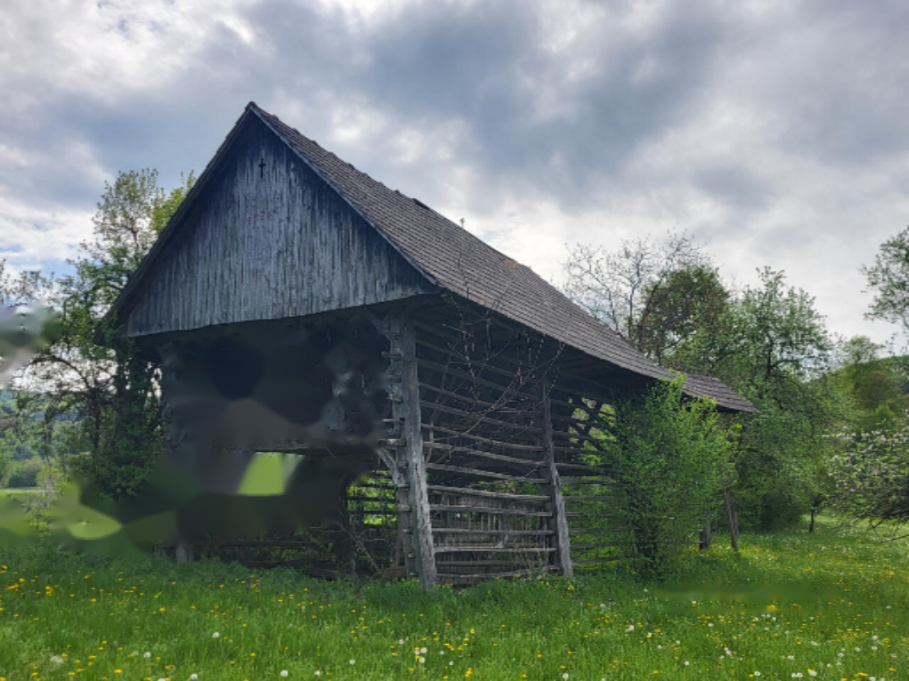 Ферма в Ново-Место, Словения, 52 000 м² - фото 7